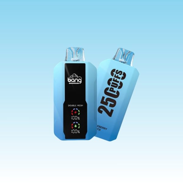 Bang 25000 Puffs - E cigg butik