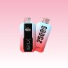 Bang 25000 Puffs - E cigg butik