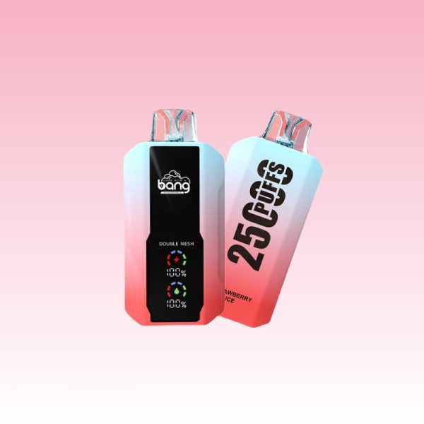 Bang 25000 Puffs - E cigg butik