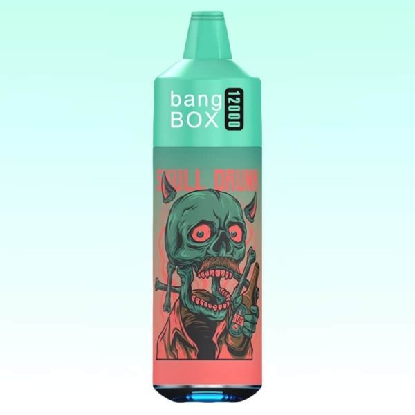 Bang Box 12000 Puffs - E cigg butik