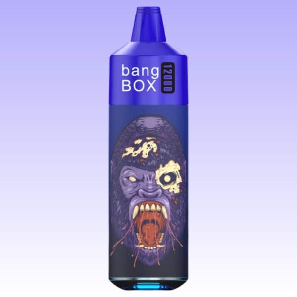 Bang Box 12000 Puffs - E cigg butik