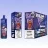 Bang Box 12000 Puffs - E cigg butik
