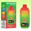 Bang King City 50000 Puffs - E cigg butik Bang King City 50000 Puffs - E cigg butik