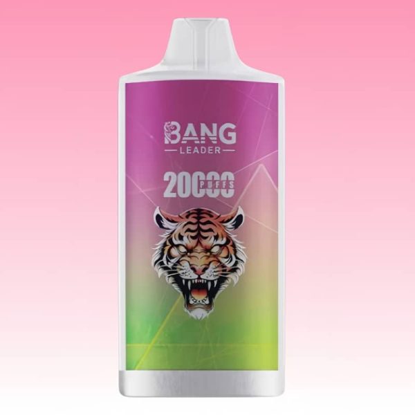 Bang Leader 20000 Puffs - E cigg butik