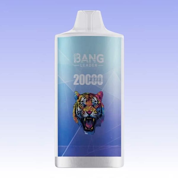Bang Leader 20000 Puffs - E cigg butik