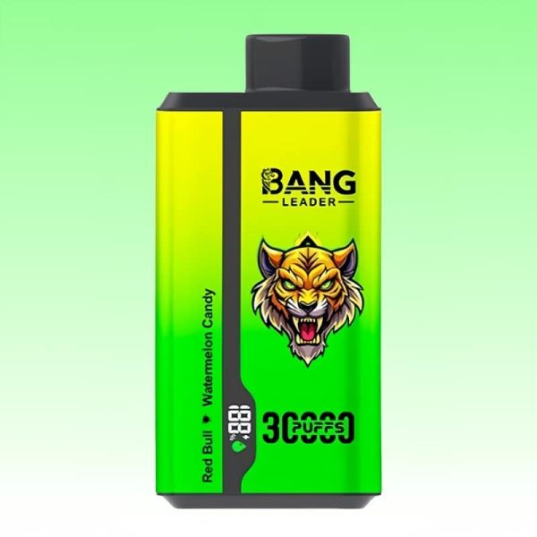 Bang Leader 30000 Puff - E cigg butik