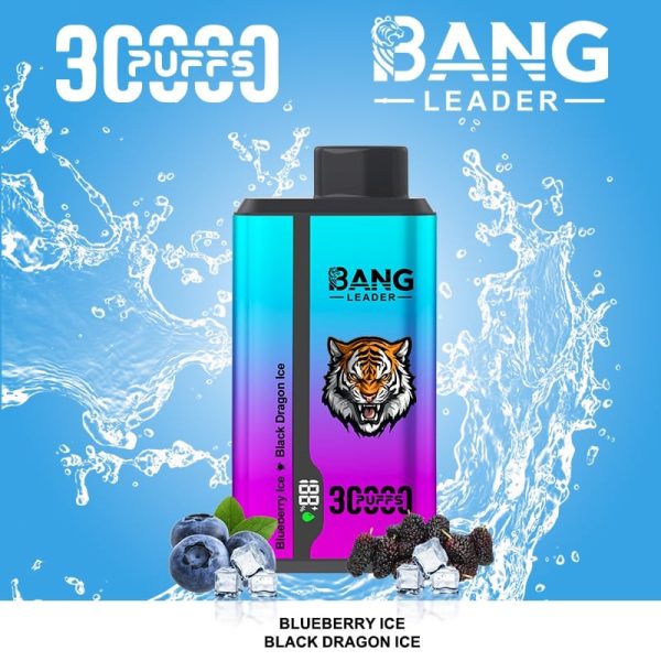 Bang Leader 30000 Puff - E cigg butik