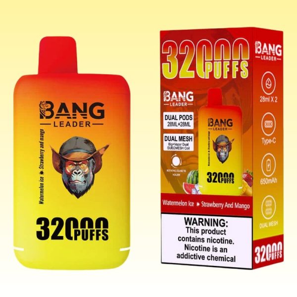 Bang Leader 32000 Puffs - E cigg butik
