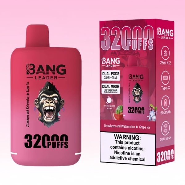 Bang Leader 32000 Puffs - E cigg butik