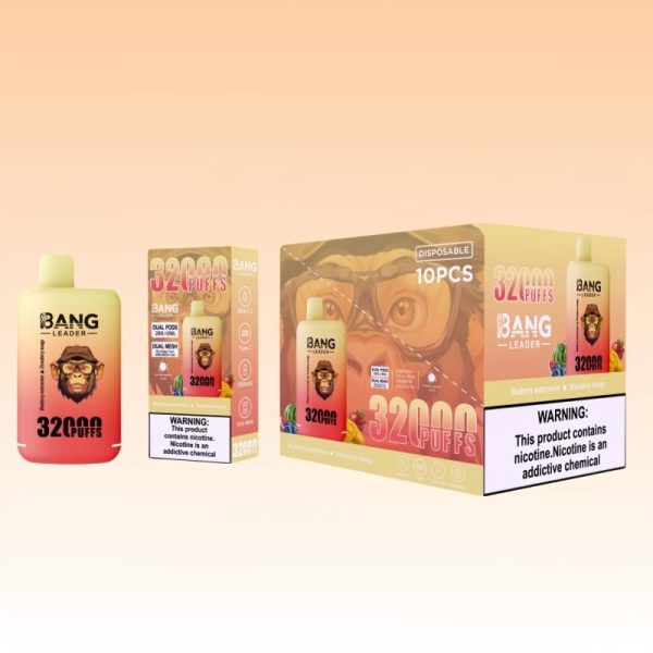 Bang Leader 32000 Puffs - E cigg butik