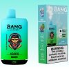 Bang Leader 45000 Puffs - E cigg butik