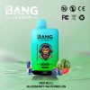 Bang Leader 45000 Puffs - E cigg butik