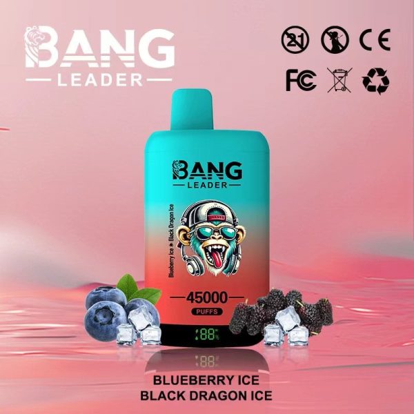 Bang Leader 45000 Puffs - E cigg butik