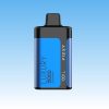 Fizzy Luxury 15000 Puffs - E cigg butik