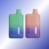 Randm Elfin 600 Puffs - E cigg butik