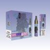 Randm Vase 600 Puffar - E cigg butik