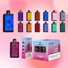 Tastefog Echo Digital Box 12000 Puffs - E cigg butik