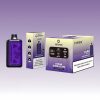 Tastefog Echo Digital Box 12000 Puffs - E cigg butik