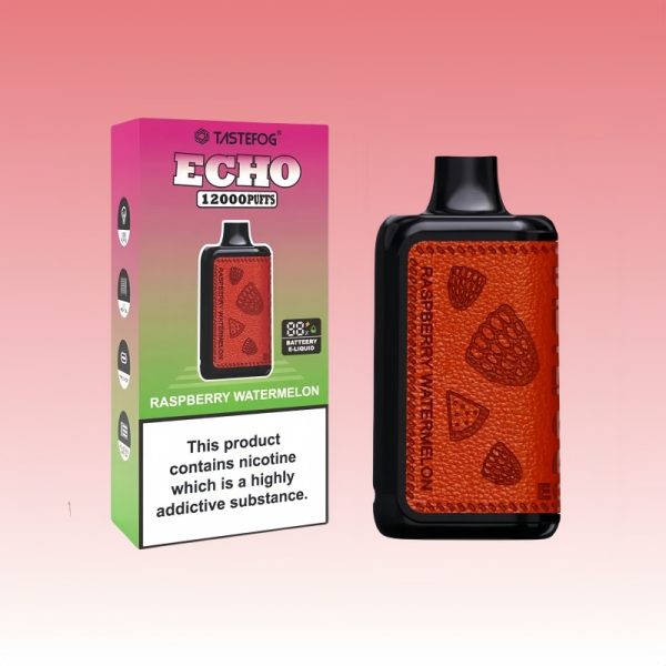 Tastefog Echo Digital Box 12000 Puffs - E cigg butik