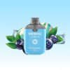 Tastefog Arena 800 Puffs - E cigg butik Tastefog Arena 800 Puffs - E cigg butik