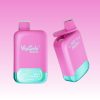 VapSolo Twins 20000 Puffs - E cigg butik