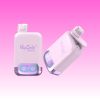 VapSolo Twins 20000 Puffs - E cigg butik