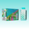 VOZOL Gear Power 20000 Puffs - E cigg butik