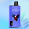 JNR Eagle 23000 Blosspustar - E cigg butik JNR Eagle 23000 Blosspustar - E cigg butik