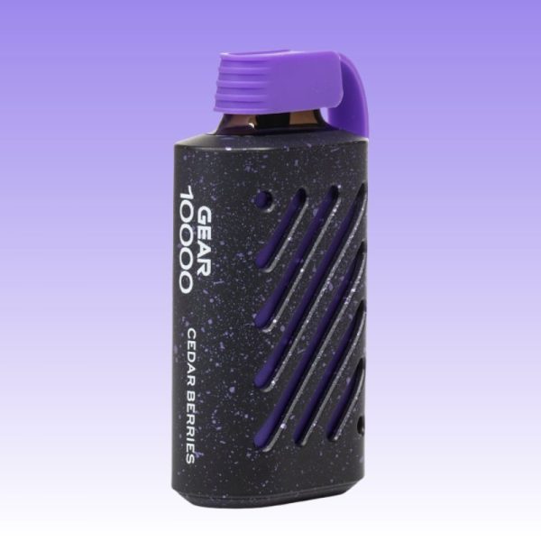 VOZOL Gear 10000 Puffar - E cigg butik