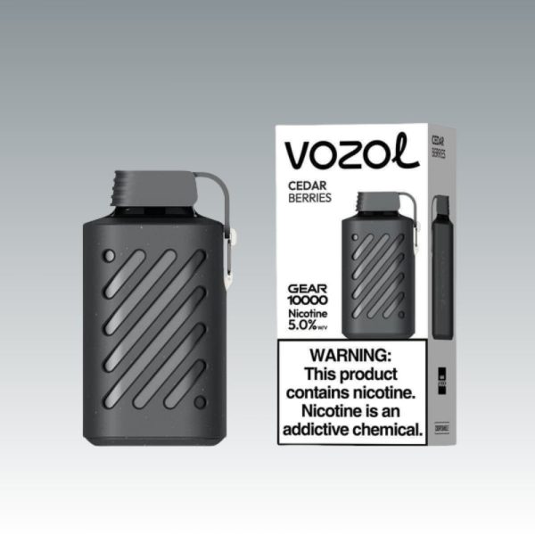 VOZOL Gear 10000 Puffar - E cigg butik