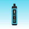 Bang King Shisha 25000 Puffar - E cigg butik Bang King Shisha 25000 Puffar - E cigg butik