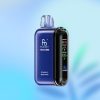 Randm Tornado 20000 Puffs - E cigg butik Randm Tornado 20000 Puffs - E cigg butik
