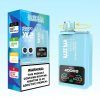 Razz Bar 40000 Puffs - E cigg butik