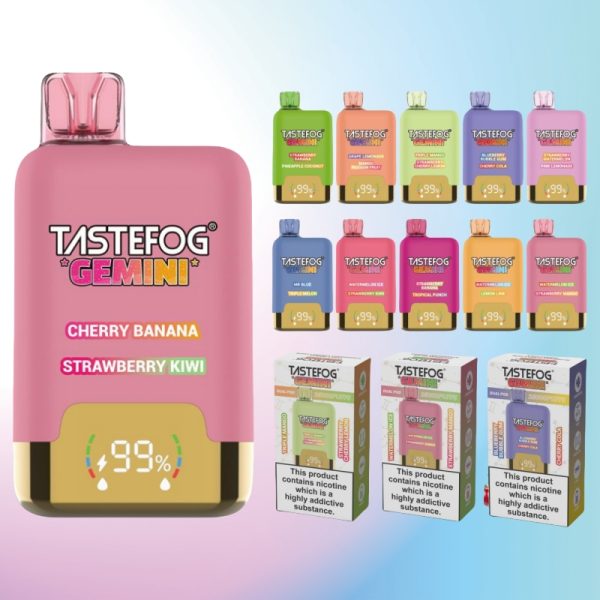 Tastefog Gemini 25000 Puffs - E cigg butik