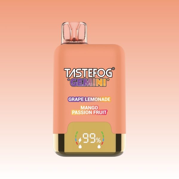 Tastefog Gemini 25000 Puffs - E cigg butik