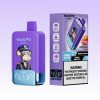 Waspe Aiviou 40000 Puffs - E cigg butik