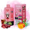 Bang Leader 300k bloss - E cigg